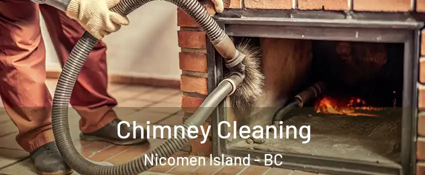  Chimney Cleaning Nicomen Island - BC