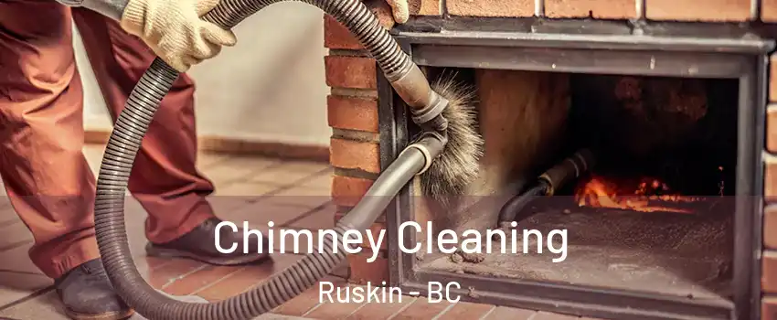  Chimney Cleaning Ruskin - BC