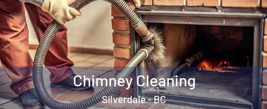  Chimney Cleaning Silverdale - BC