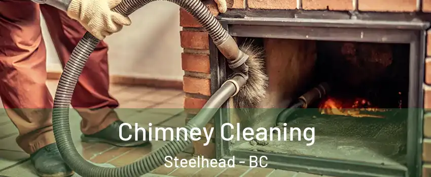  Chimney Cleaning Steelhead - BC