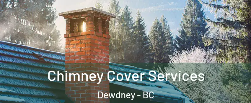  Chimney Cover Services Dewdney - BC