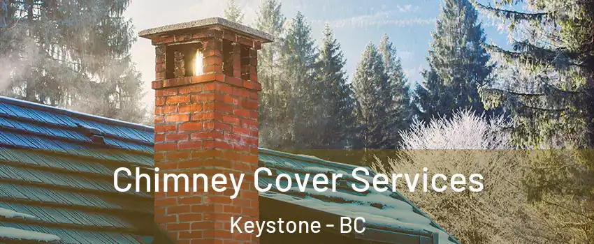  Chimney Cover Services Keystone - BC