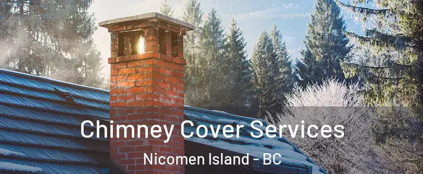  Chimney Cover Services Nicomen Island - BC