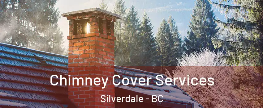  Chimney Cover Services Silverdale - BC