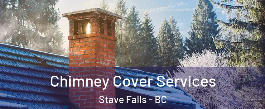  Chimney Cover Services Stave Falls - BC