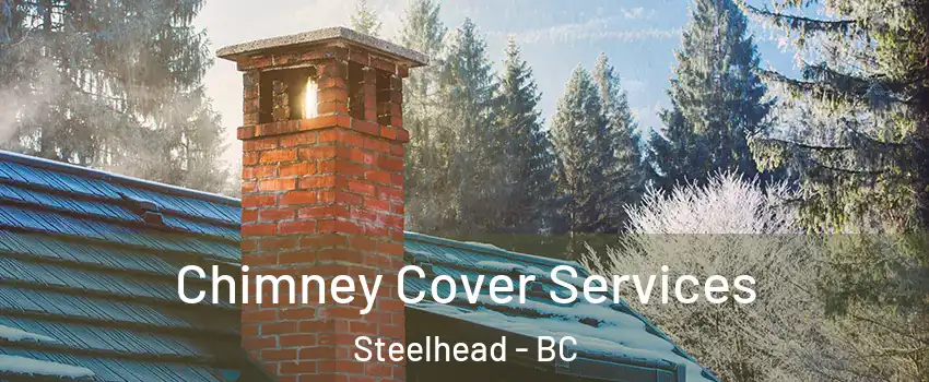 Chimney Cover Services Steelhead - BC