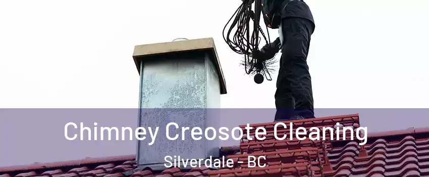  Chimney Creosote Cleaning Silverdale - BC