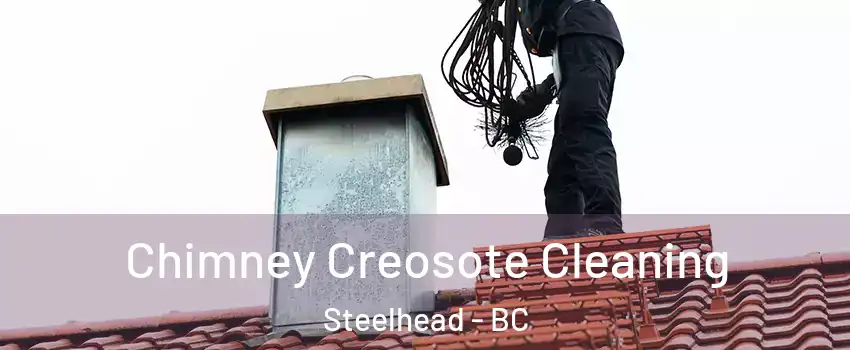  Chimney Creosote Cleaning Steelhead - BC