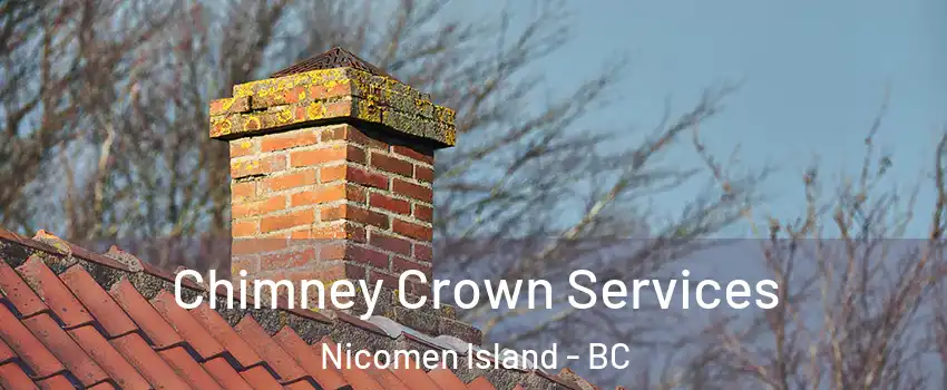  Chimney Crown Services Nicomen Island - BC