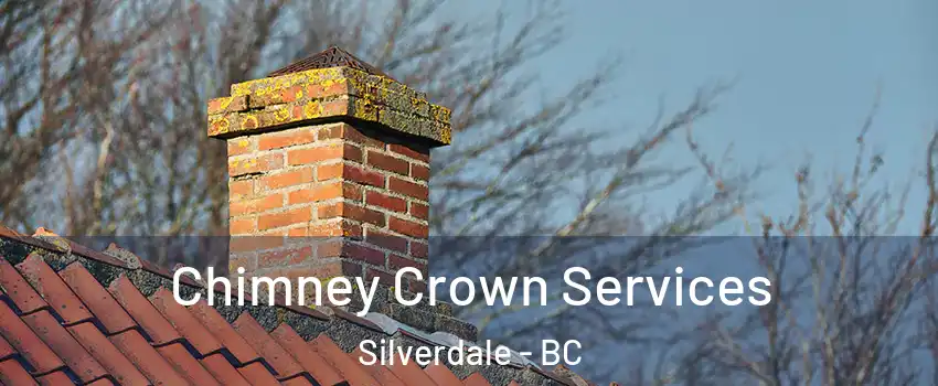  Chimney Crown Services Silverdale - BC