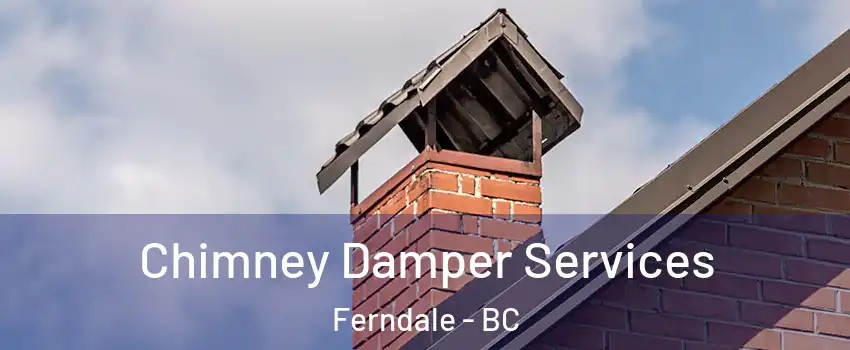  Chimney Damper Services Ferndale - BC