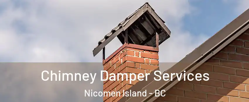  Chimney Damper Services Nicomen Island - BC