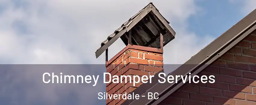 Chimney Damper Services Silverdale - BC