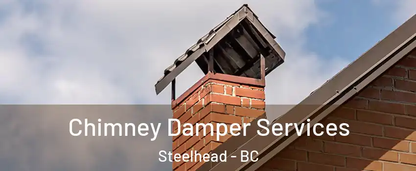  Chimney Damper Services Steelhead - BC
