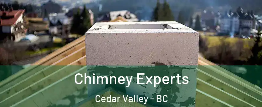  Chimney Experts Cedar Valley - BC