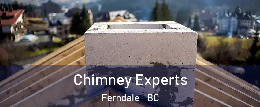 Chimney Experts Ferndale - BC