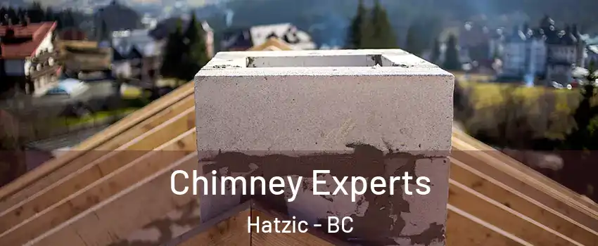  Chimney Experts Hatzic - BC