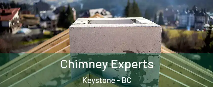 Chimney Experts Keystone - BC