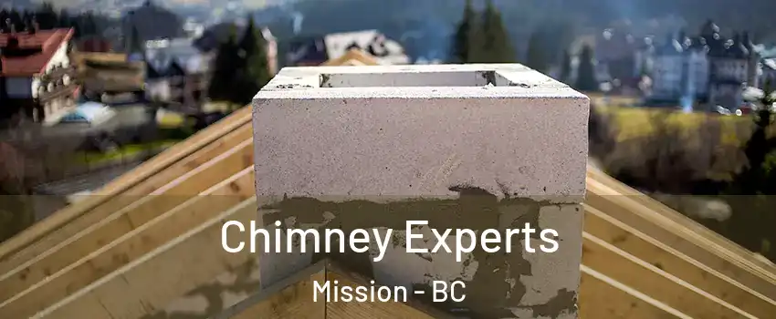 Chimney Experts Mission - BC