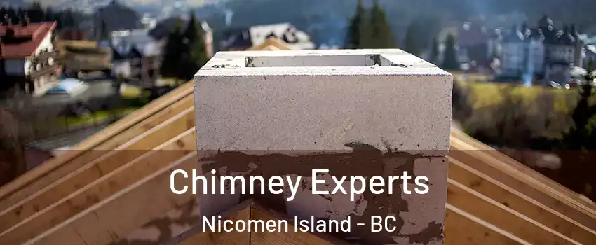 Chimney Experts Nicomen Island - BC