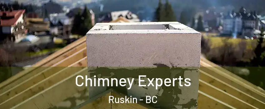 Chimney Experts Ruskin - BC