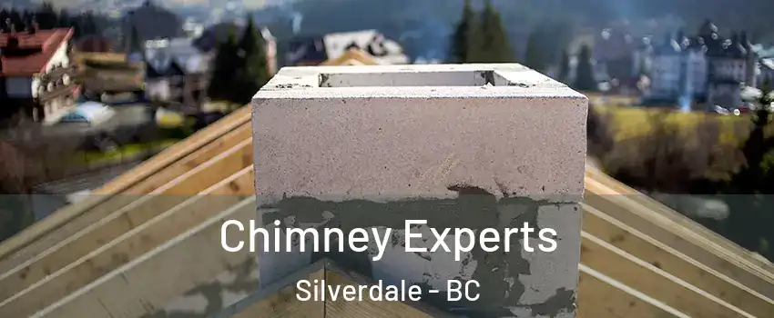  Chimney Experts Silverdale - BC