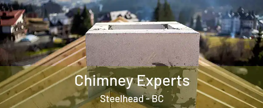 Chimney Experts Steelhead - BC
