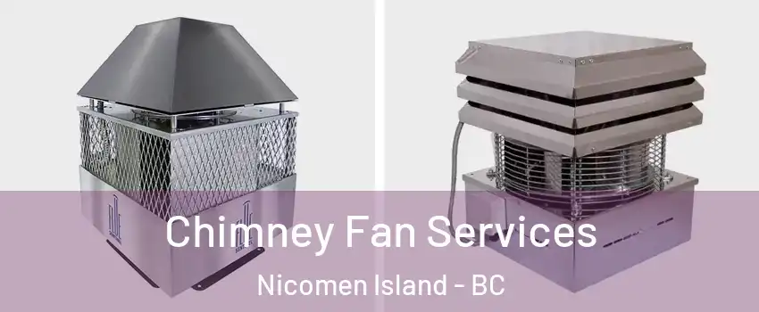  Chimney Fan Services Nicomen Island - BC
