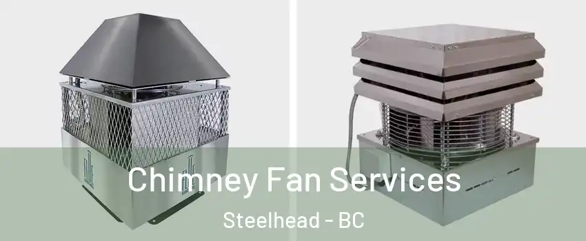  Chimney Fan Services Steelhead - BC