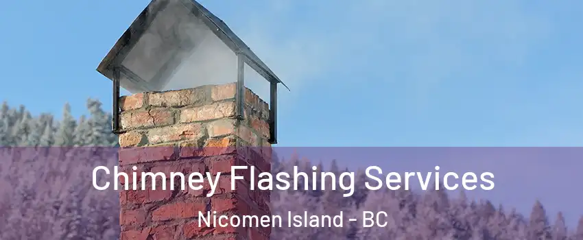 Chimney Flashing Services Nicomen Island - BC