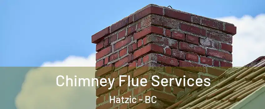  Chimney Flue Services Hatzic - BC
