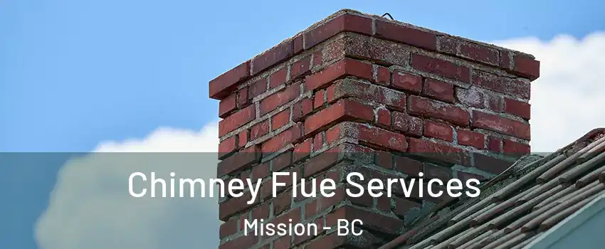  Chimney Flue Services Mission - BC