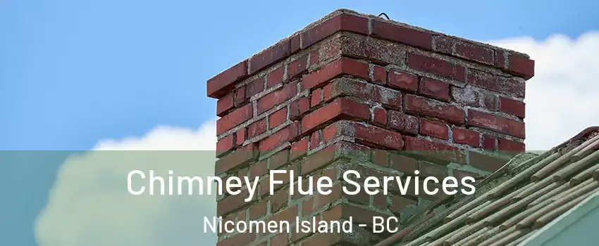  Chimney Flue Services Nicomen Island - BC