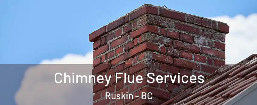  Chimney Flue Services Ruskin - BC