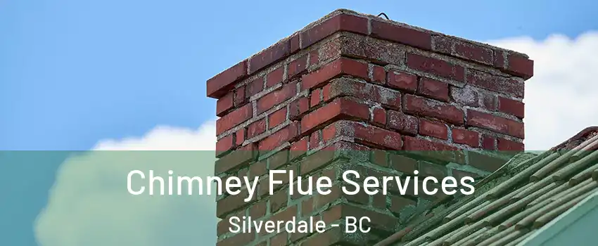  Chimney Flue Services Silverdale - BC