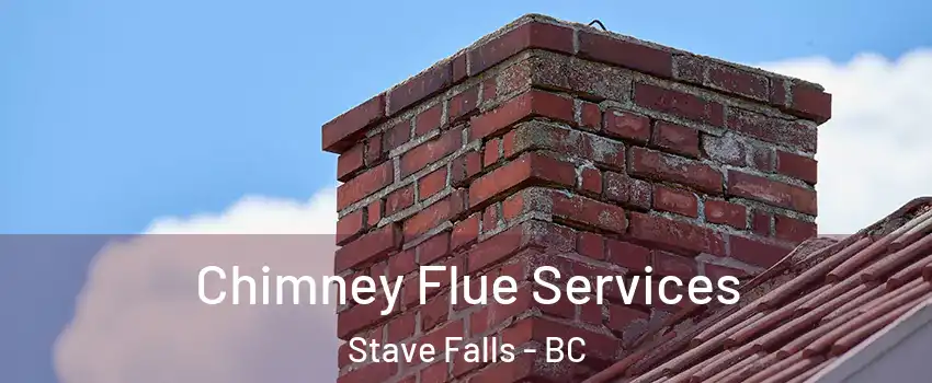 Chimney Flue Services Stave Falls - BC
