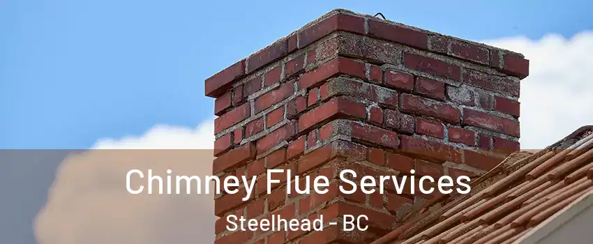  Chimney Flue Services Steelhead - BC