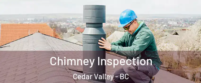  Chimney Inspection Cedar Valley - BC