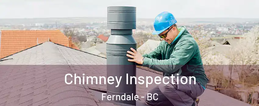  Chimney Inspection Ferndale - BC
