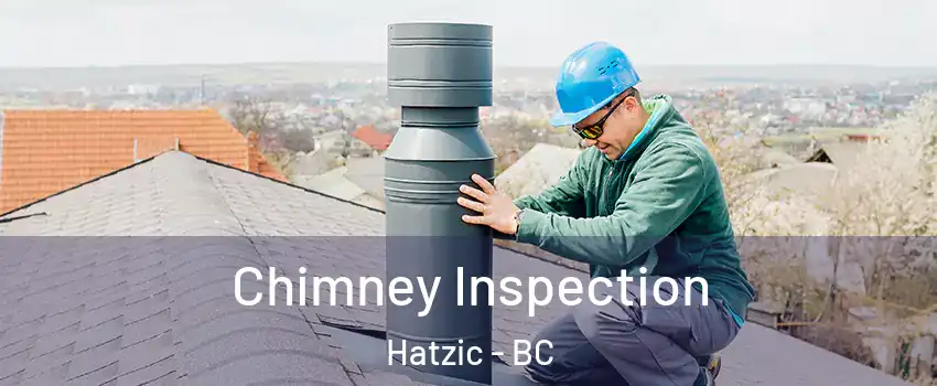  Chimney Inspection Hatzic - BC