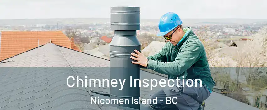 Chimney Inspection Nicomen Island - BC