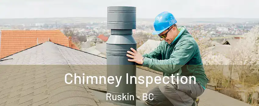  Chimney Inspection Ruskin - BC