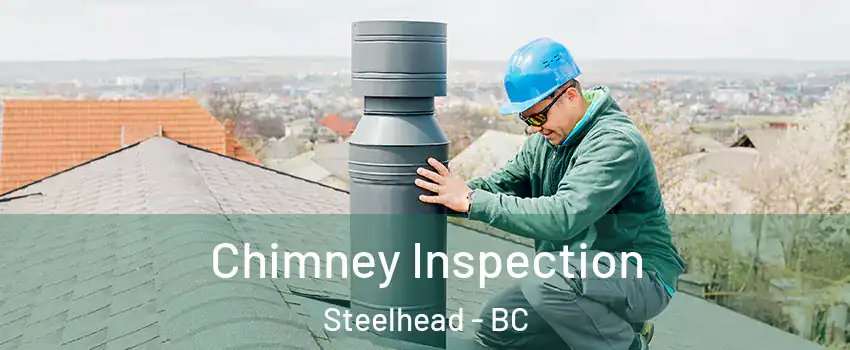  Chimney Inspection Steelhead - BC