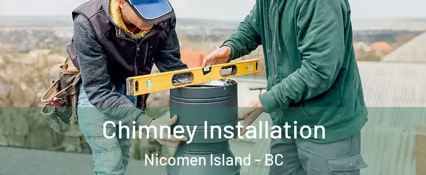  Chimney Installation Nicomen Island - BC