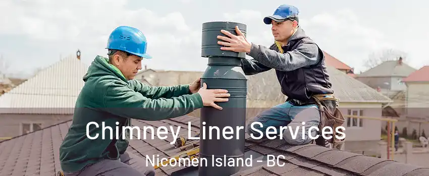  Chimney Liner Services Nicomen Island - BC
