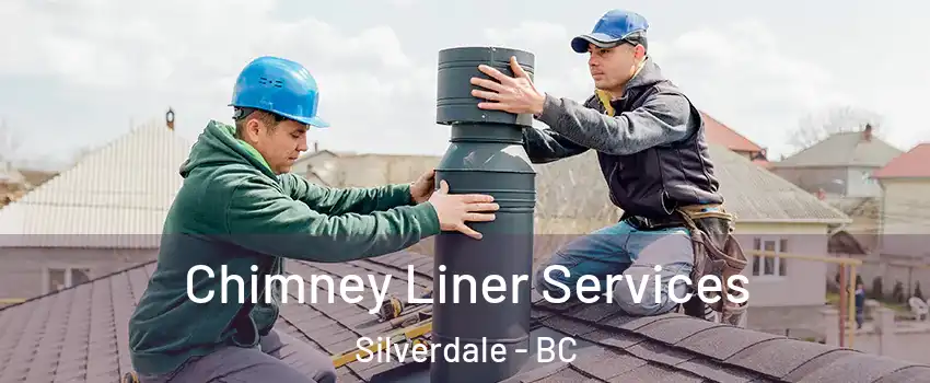  Chimney Liner Services Silverdale - BC