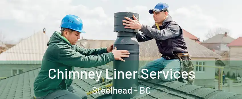  Chimney Liner Services Steelhead - BC