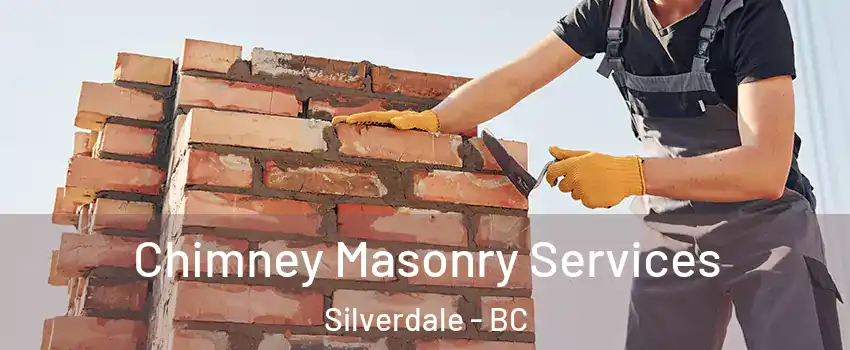  Chimney Masonry Services Silverdale - BC
