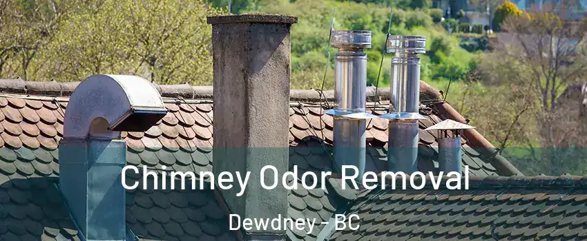  Chimney Odor Removal Dewdney - BC