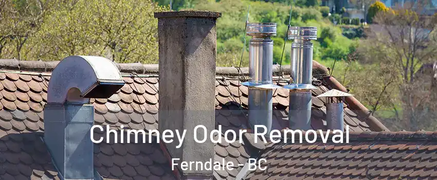  Chimney Odor Removal Ferndale - BC